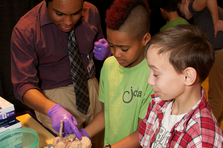 The public learns about the progress and promise of neuroscience research through SfN’s public information and education efforts. Among them are media outreach, a wealth of free educational publications, and public awareness campaigns, such as Brain Awareness Week.